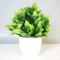 Realistic Mini Bonsai Artificial Plant Indoor Outdoor Decorative Greenery 8