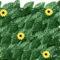Sunflower Artificial Ivy Privacy Fence Expandable Green Wall Screen For Balcony Garden 4