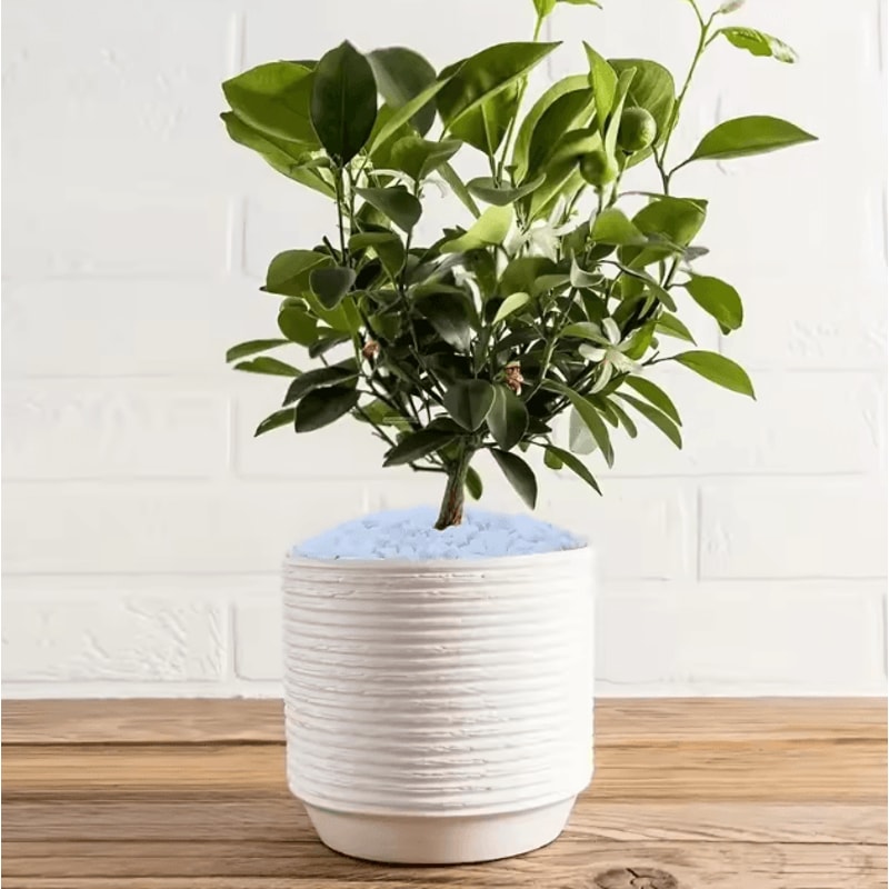 Natural Crystal Pebble Gravel Polished Aquarium Stones For Plants Home Decor 1