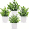 Vivid Artificial Bonsai Plant Mini Decorative Greenery For Desk Home 0