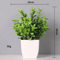 Vivid Artificial Bonsai Plant Mini Decorative Greenery For Desk Home 1