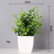 Vivid Artificial Bonsai Plant Mini Decorative Greenery For Desk Home 2