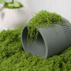 diy artificial green moss – realistic faux preserved moss for crafts & home decor