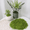 DIY Artificial Green Moss Realistic Faux Preserved Moss For Crafts Home Decor 1