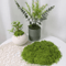 DIY Artificial Green Moss Realistic Faux Preserved Moss For Crafts Home Decor 1