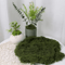 DIY Artificial Green Moss Realistic Faux Preserved Moss For Crafts Home Decor 3