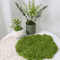 DIY Artificial Green Moss Realistic Faux Preserved Moss For Crafts Home Decor 4