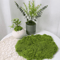 DIY Artificial Green Moss Realistic Faux Preserved Moss For Crafts Home Decor 4