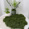 DIY Artificial Green Moss Realistic Faux Preserved Moss For Crafts Home Decor 5