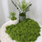 DIY Artificial Green Moss Realistic Faux Preserved Moss For Crafts Home Decor 6