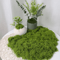 DIY Artificial Green Moss Realistic Faux Preserved Moss For Crafts Home Decor 6