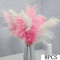 Blush Pampas Grass Gypsophila Boho Wedding Bouquet Centerpiece 5