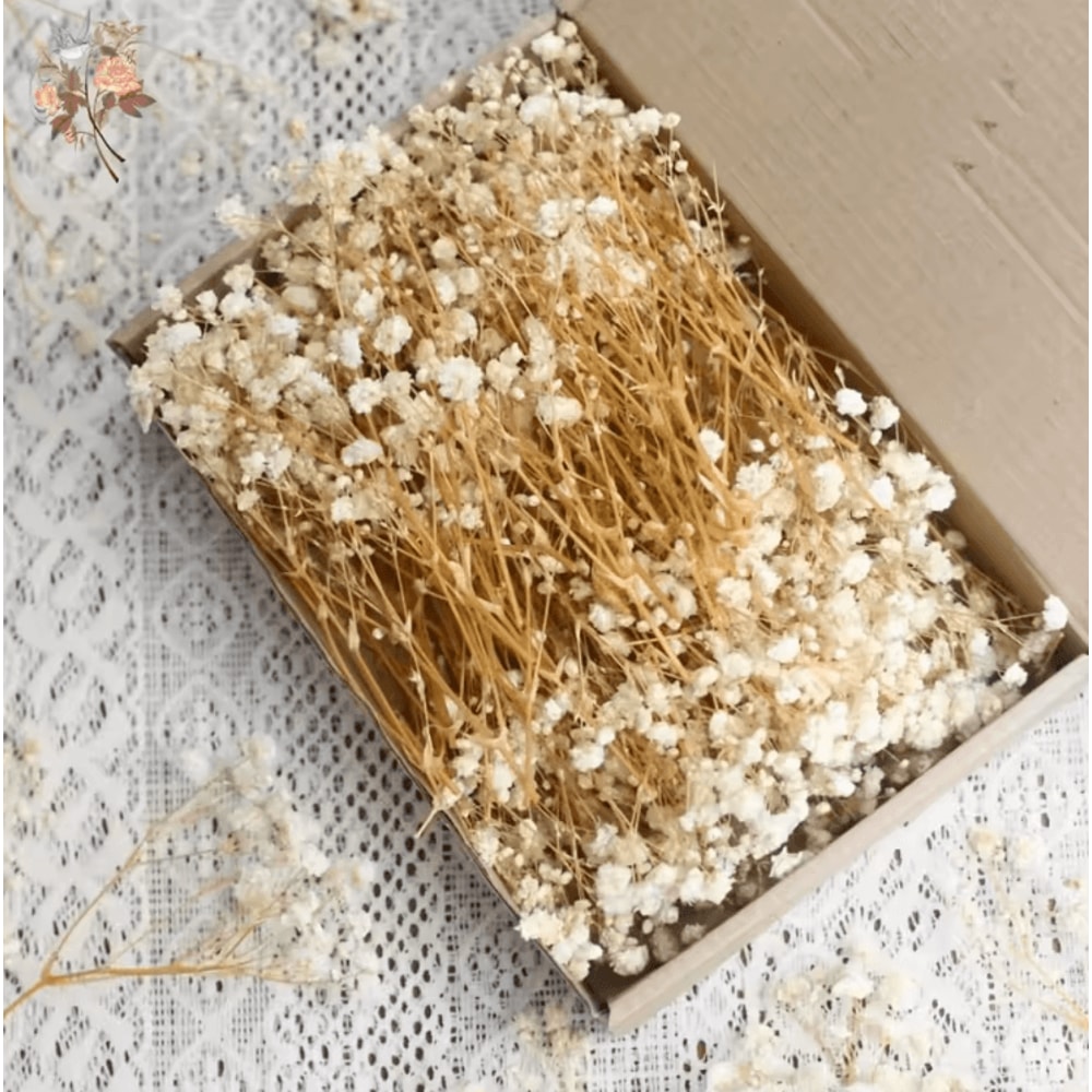 100pcs Mini Dried Babys Breath Flowers Real Gypsophila For Resin DIY Decor 0