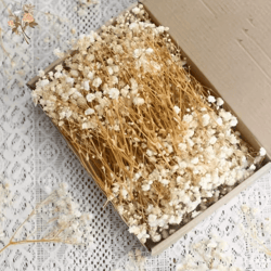 100pcs mini dried babys breath flowers – real gypsophila for resin & diy decor
