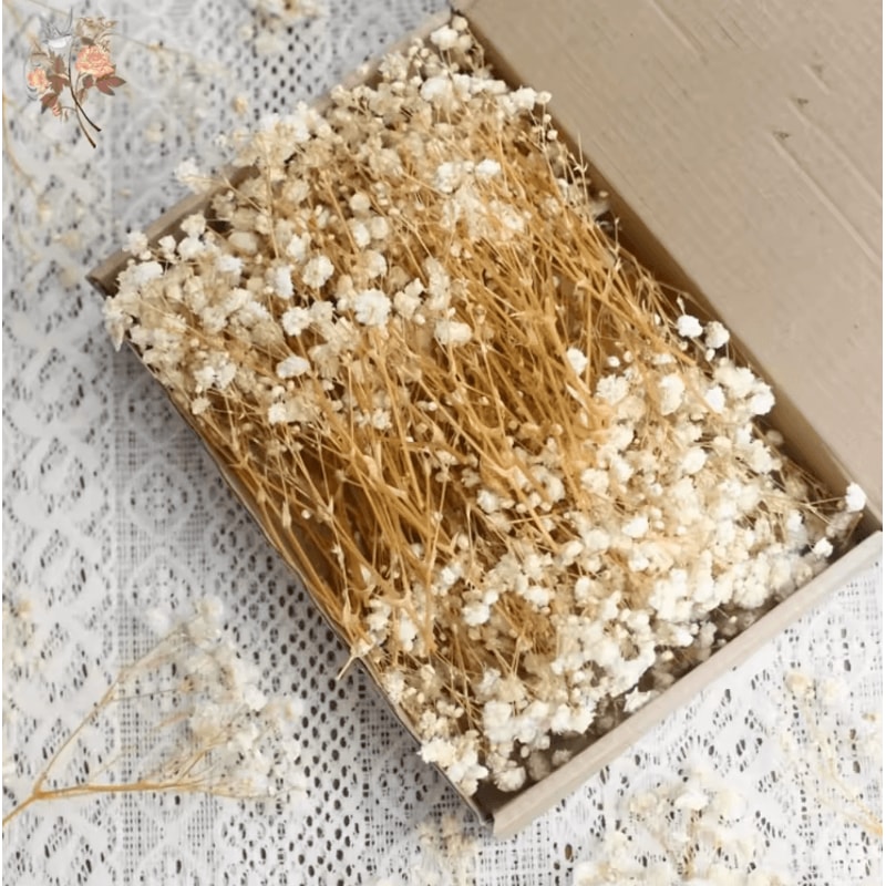 100pcs Mini Dried Babys Breath Flowers Real Gypsophila For Resin DIY Decor 0