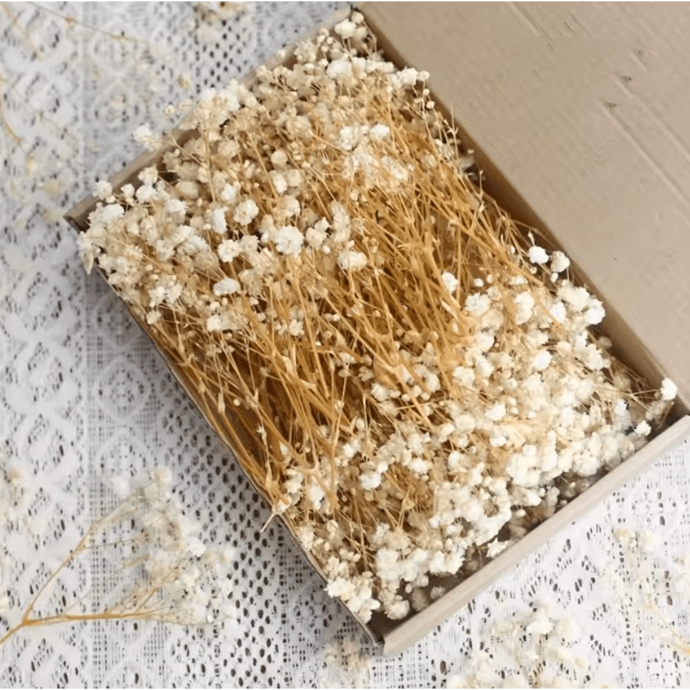 100pcs Mini Dried Babys Breath Flowers Real Gypsophila For Resin DIY Decor 3