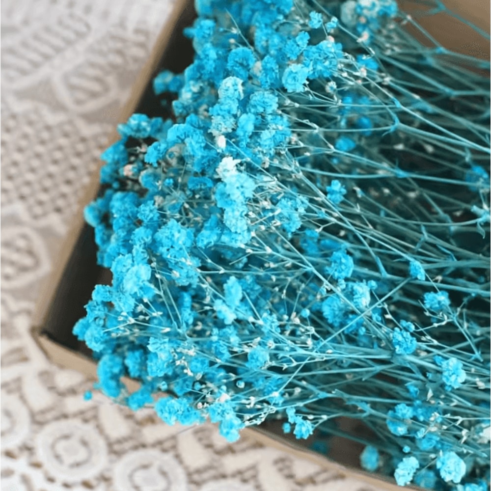 100pcs Mini Dried Babys Breath Flowers Real Gypsophila For Resin DIY Decor 4