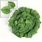 Lush Artificial Ivy Vine Garland 2M 100 Leaves Realistic Hanging Greenery Decor 2