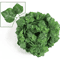 Lush Artificial Ivy Vine Garland 2M 100 Leaves Realistic Hanging Greenery Decor 5