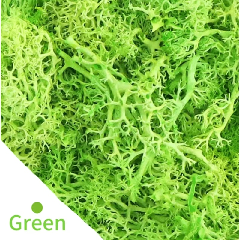 Natural Green Artificial Moss Eternal Life DIY Decor For Mini Gardens Home Styling 3