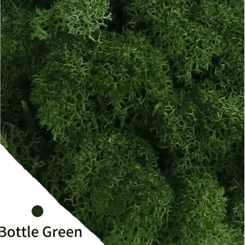 Natural Green Artificial Moss Eternal Life DIY Decor For Mini Gardens Home Styling 4