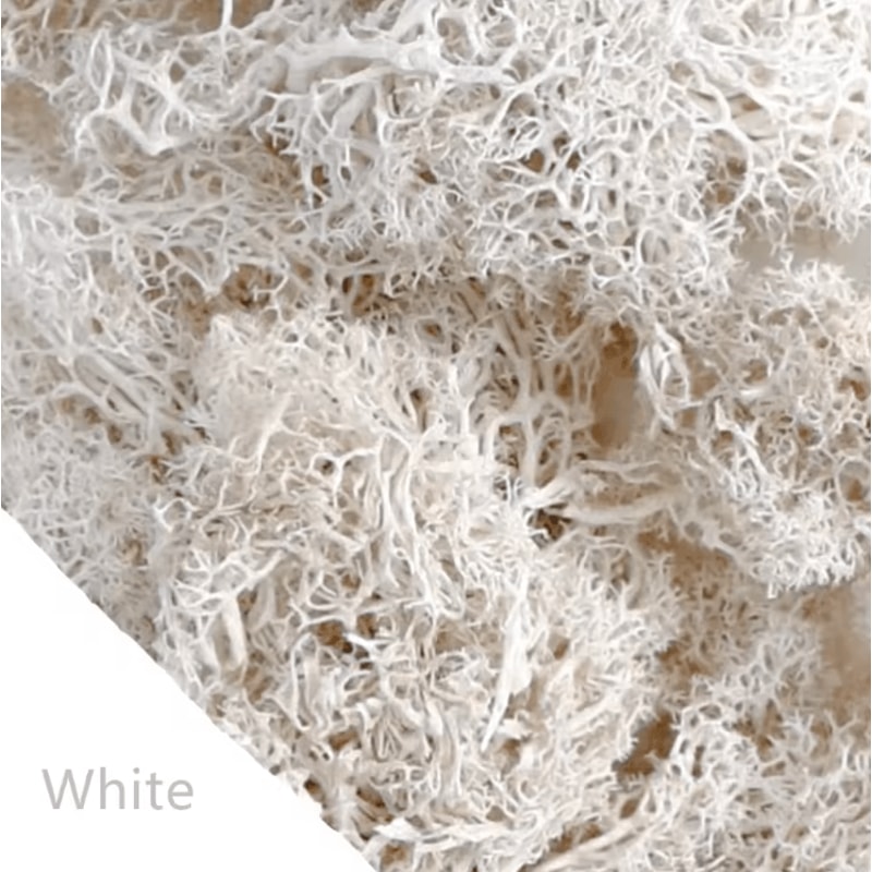 Natural Green Artificial Moss Eternal Life DIY Decor For Mini Gardens Home Styling 6