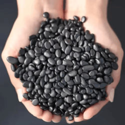 natural shungite gravel stones – 100g healing crystal chips for energy & home use