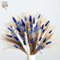 Blue Bunny Tail Pampas Grass Bouquet 70 Stems Fluffy Dried Flowers For Boho Home Decor 0