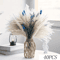 Blue Bunny Tail Pampas Grass Bouquet 70 Stems Fluffy Dried Flowers For Boho Home Decor 1