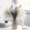 Blue Bunny Tail Pampas Grass Bouquet 70 Stems Fluffy Dried Flowers For Boho Home Decor 1