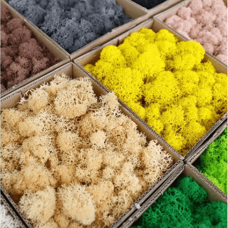 Mini Artificial Moss Grass Decor Realistic Green DIY Landscape For Home Crafts 1