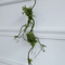 Artificial Rattan Vine Branch Rustic Wall Hanging Decor For Weddings Home Styling 2