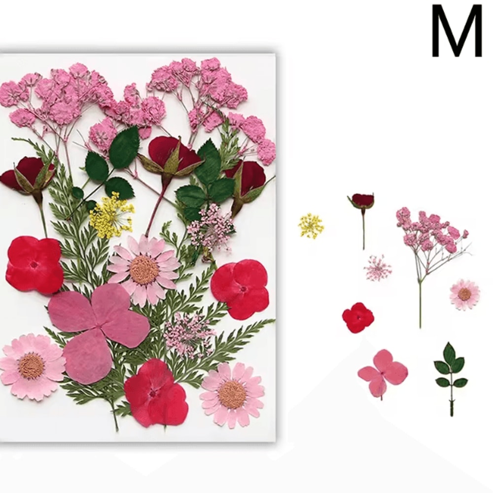 Natural Dried Flower Resin Fillers Real Floral Nail Art DIY Craft Decoration Set 12