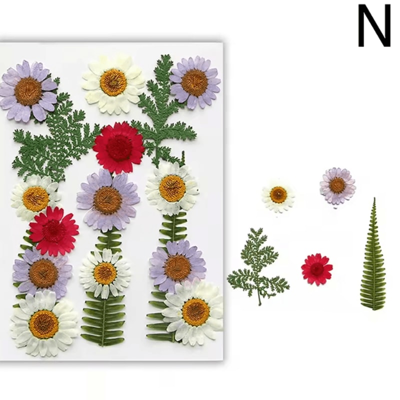 Natural Dried Flower Resin Fillers Real Floral Nail Art DIY Craft Decoration Set 13