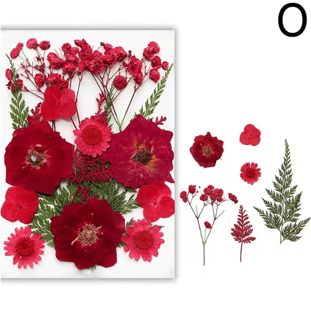 Natural Dried Flower Resin Fillers Real Floral Nail Art DIY Craft Decoration Set 14