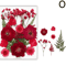 Natural Dried Flower Resin Fillers Real Floral Nail Art DIY Craft Decoration Set 14