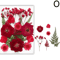 Natural Dried Flower Resin Fillers Real Floral Nail Art DIY Craft Decoration Set 14