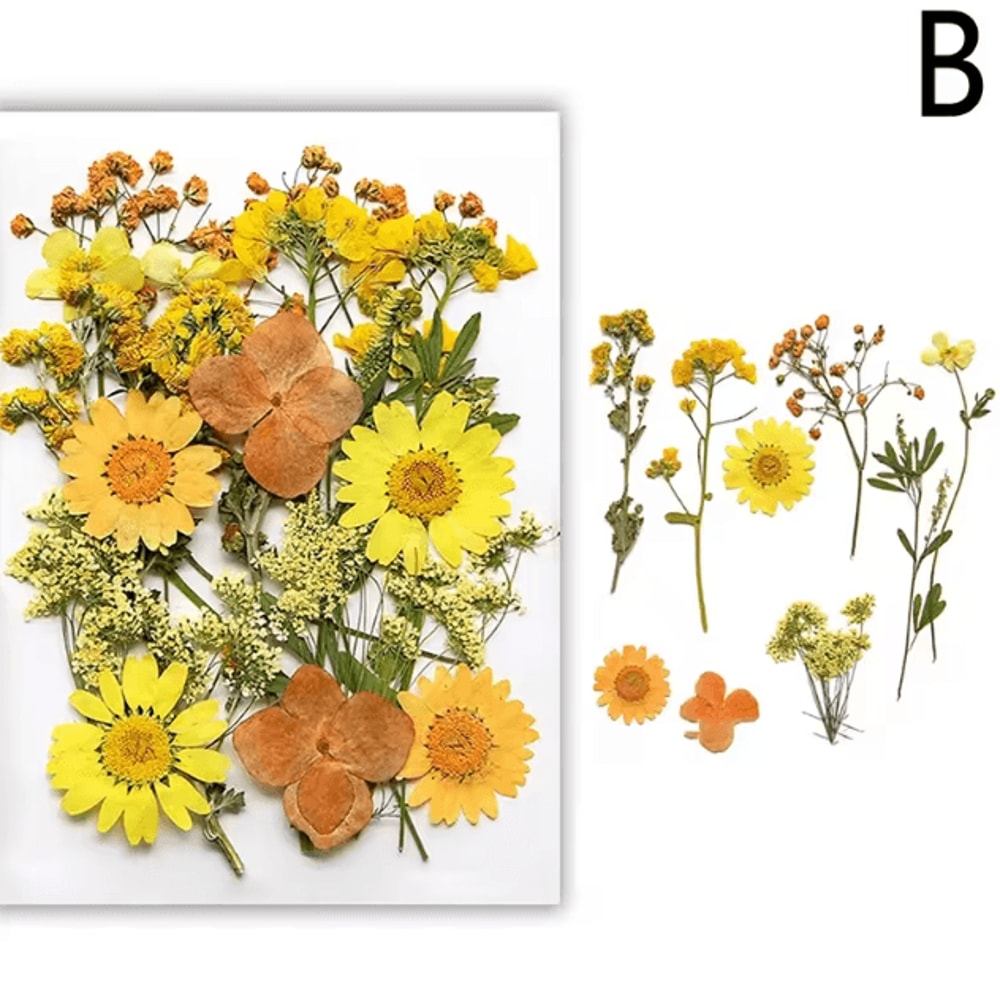 Natural Dried Flower Resin Fillers Real Floral Nail Art DIY Craft Decoration Set 1