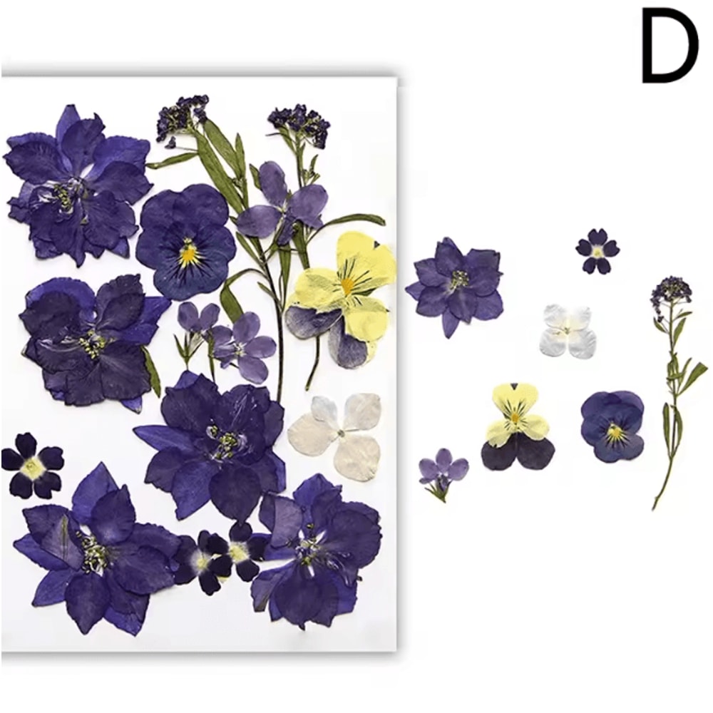 Natural Dried Flower Resin Fillers Real Floral Nail Art DIY Craft Decoration Set 3