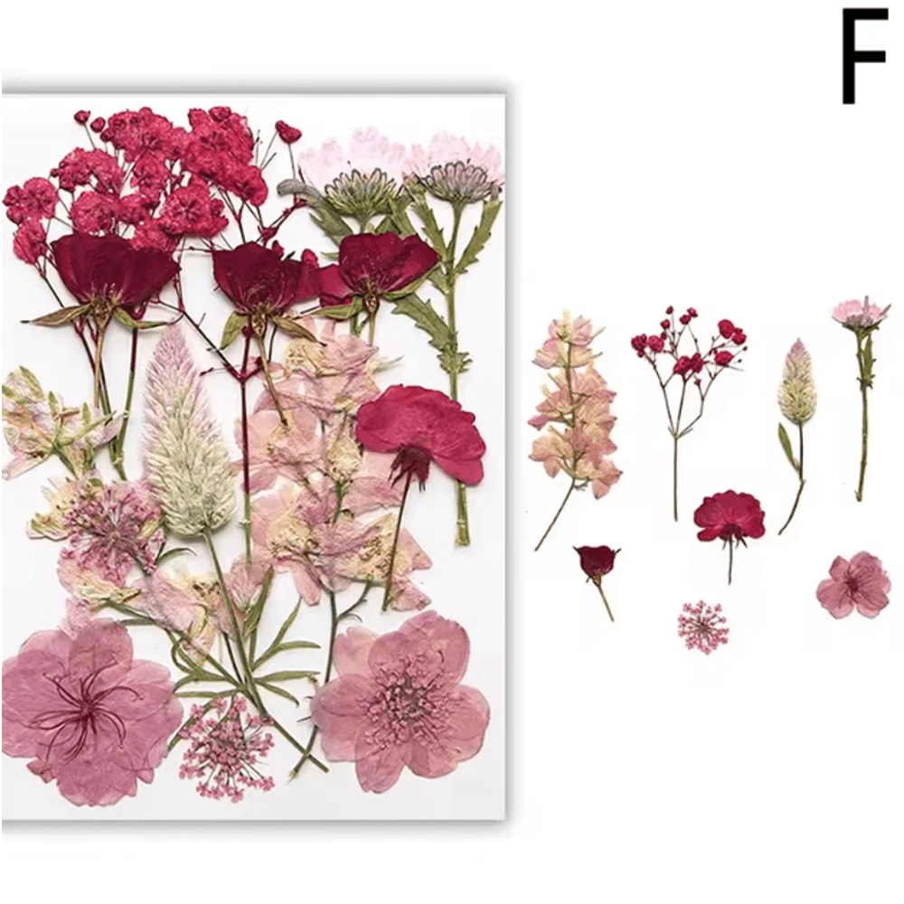 Natural Dried Flower Resin Fillers Real Floral Nail Art DIY Craft Decoration Set 5