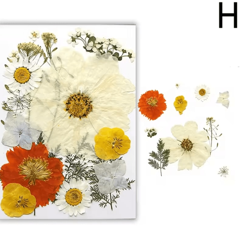 Natural Dried Flower Resin Fillers Real Floral Nail Art DIY Craft Decoration Set 7