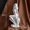 Mythological Venus Goddess Resin Statue Elegant Aesthetic Desk Room Decor 3