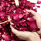 Natural Dried Rose Petals 500g Aromatherapy Bath Spa Wedding Decor Flowers 1
