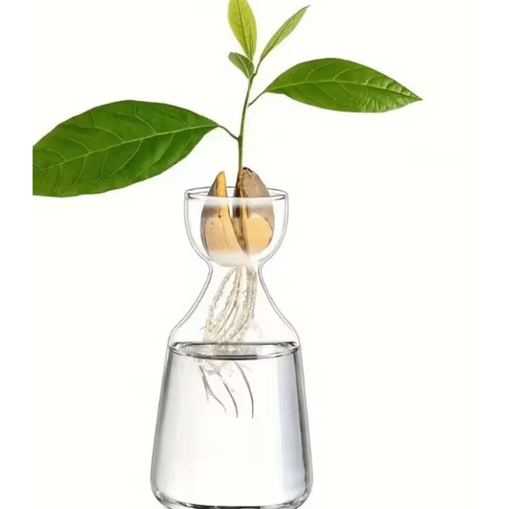 Fourpiece Avocado Seed Starter Vase Grow Your Own Avocado Tree Unique Glass Planting Pot For Garden 4