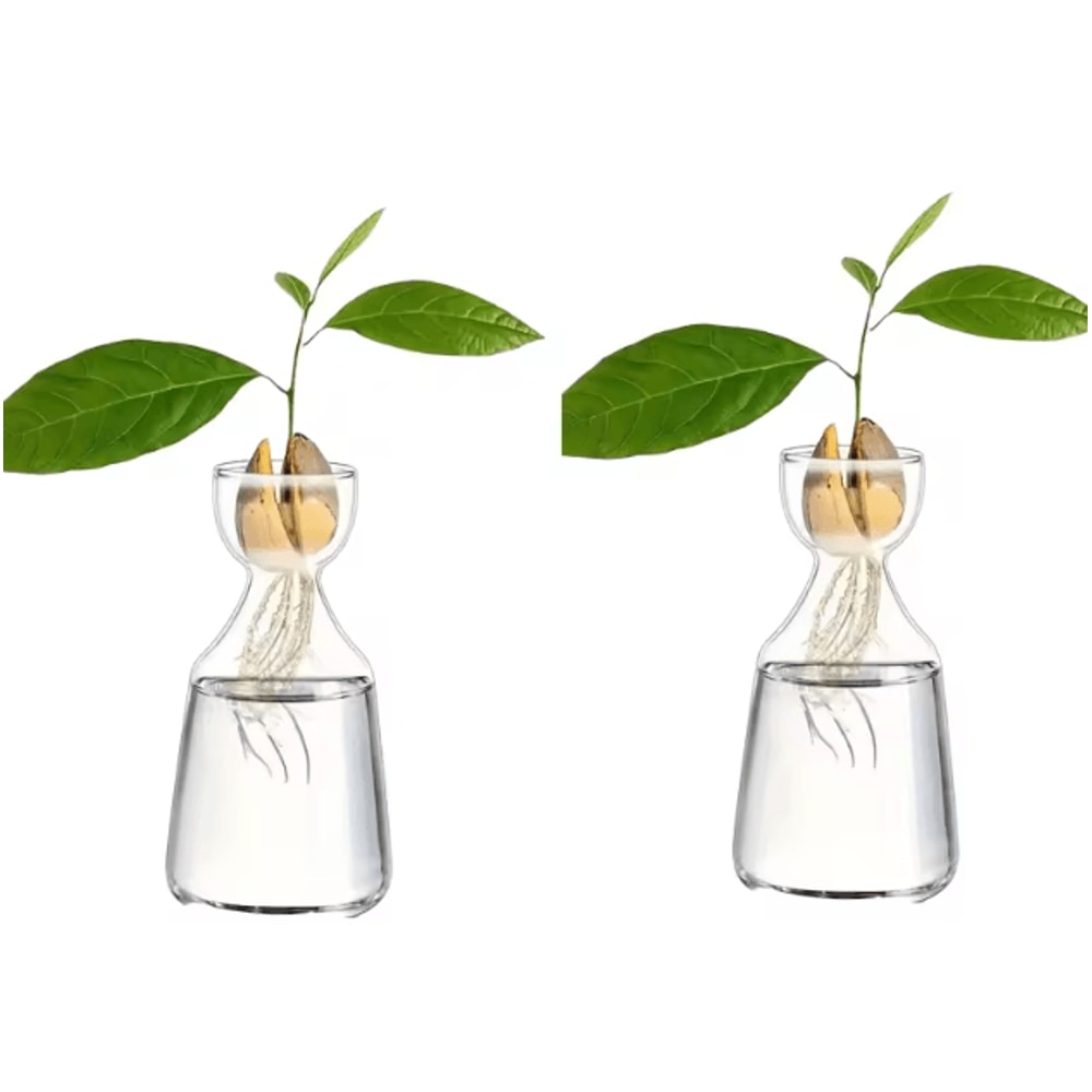 Fourpiece Avocado Seed Starter Vase Grow Your Own Avocado Tree Unique Glass Planting Pot For Garden 5
