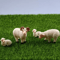 4PCS Miniature Resin Sheep Family Set Cute Farm Animal Decor For DIY Display 0