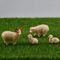 4PCS Miniature Resin Sheep Family Set Cute Farm Animal Decor For DIY Display 1