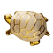 Golden Money Turtle Ceramic Figurine Feng Shui Longevity Desk Home Decor 2