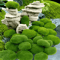 Artificial Moss Stone Decor Balls Realistic Green Moss Rocks For DIY Garden Home Styling 1
