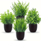 Mini Artificial Potted Plants Set 4PCS Fake Bonsai Desk Decor Indoor Greenery 1